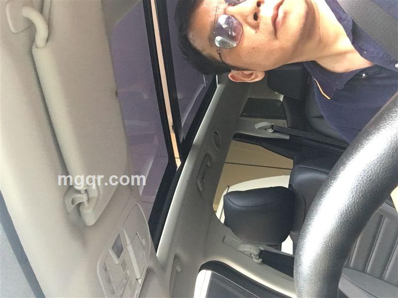 早起虫儿给鸟吃的头像