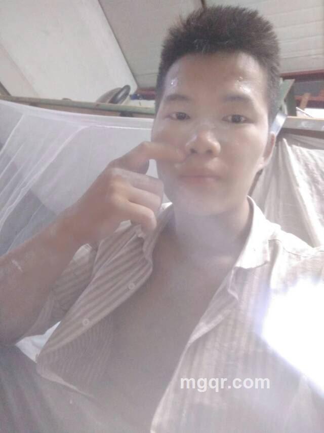 木木木的头像