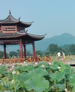 铁观音爱好者的头像