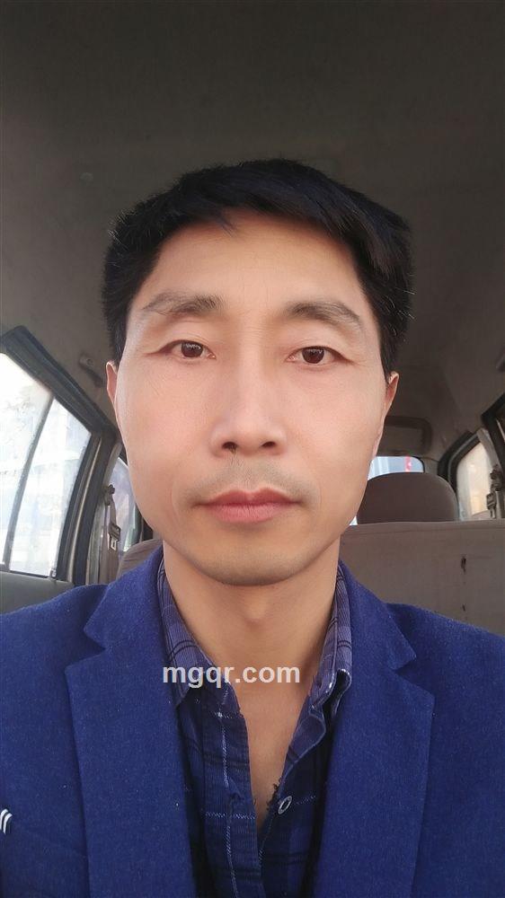 摔不死的蚂蚁的头像