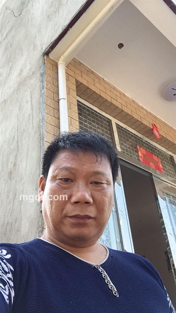 骑猪卖肉的头像