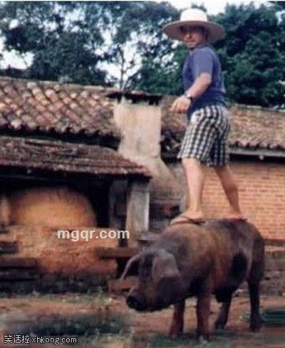 弹情不说爱的头像