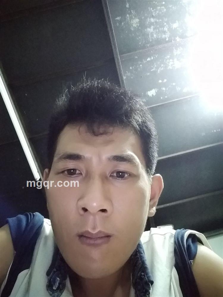 一直单身的头像