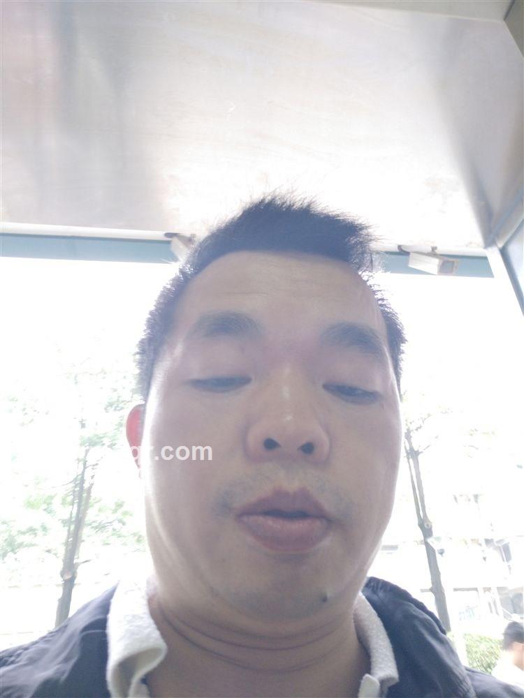 大炮纷飞的头像