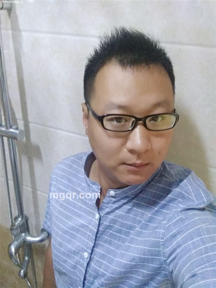 年轻的信天翁的头像