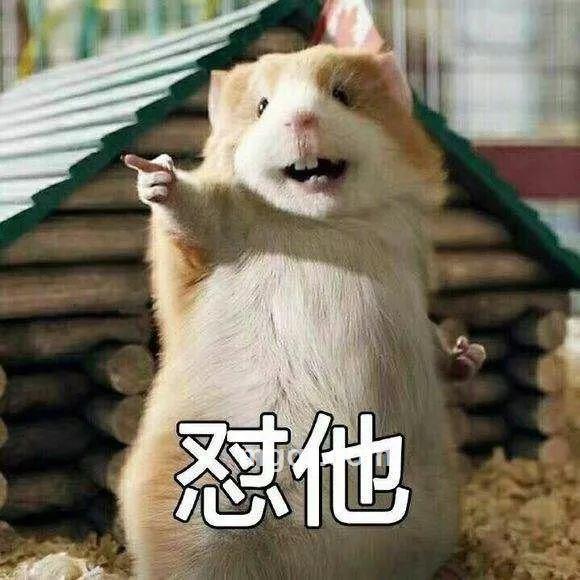 青涩的头像