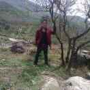 CHEN红尘一梦的头像