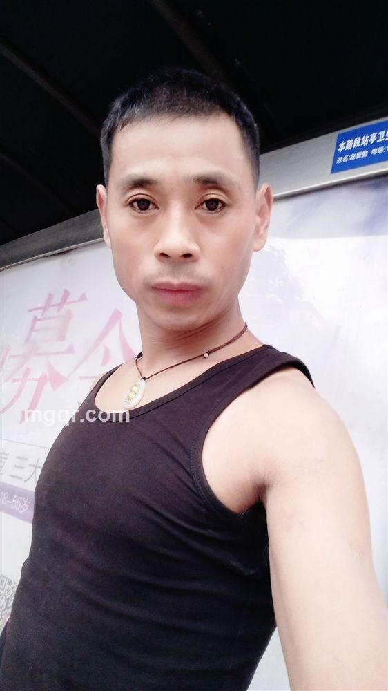 天若有情的头像