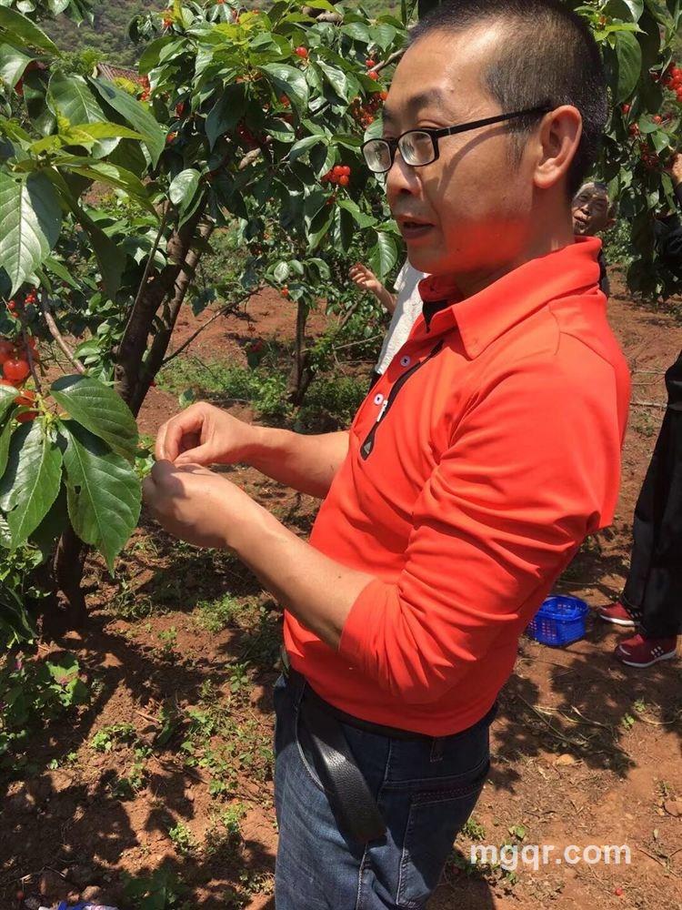 津城阳光的头像