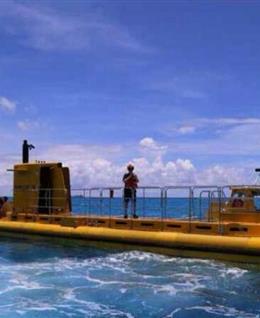 断桥 残雪的头像