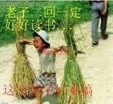 风吹过的城市的头像