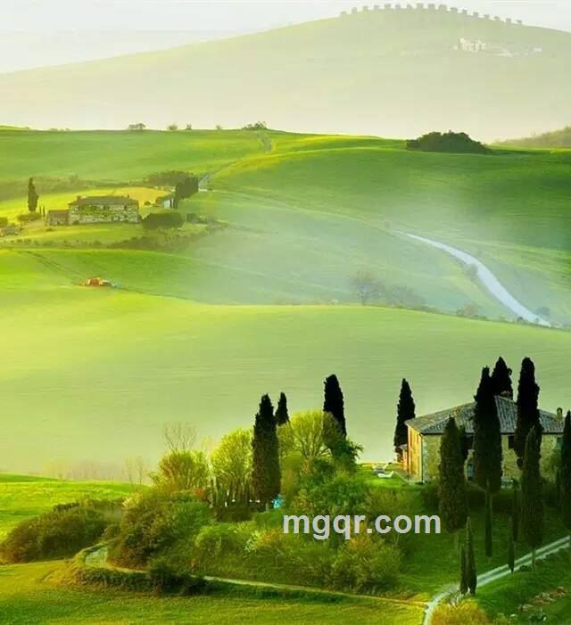 红酒传说的头像