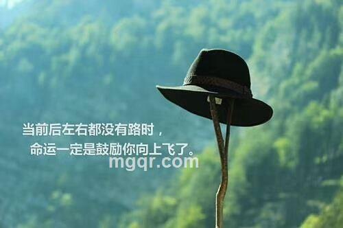 你的神的头像