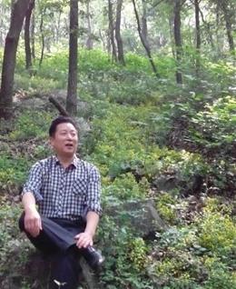 狼菜鱼猫的头像