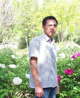 恨月无光的头像