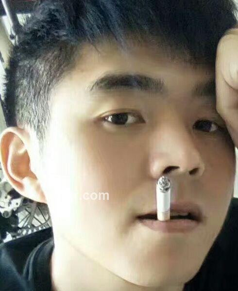 今晚打老虎的头像