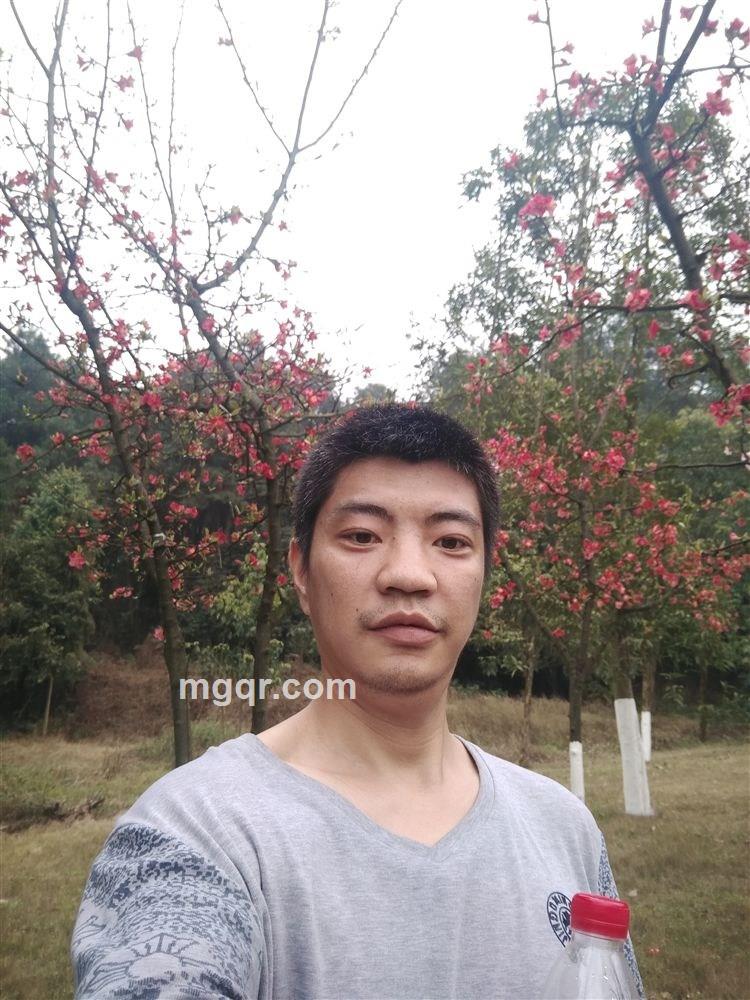 白色的夜的头像