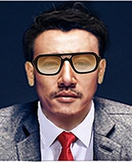 孤独的平原狼的头像