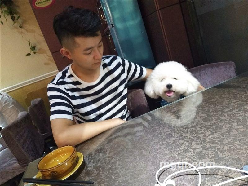 凶的很
