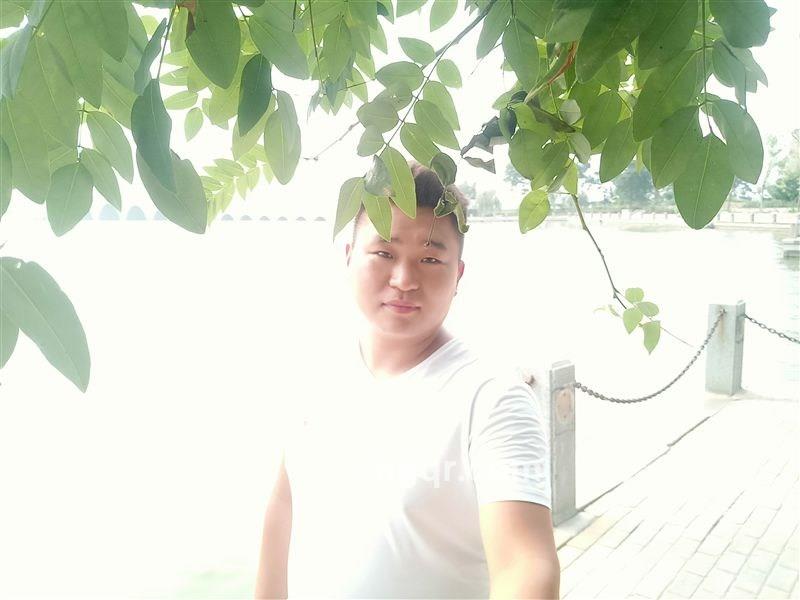 纳兰无天的头像