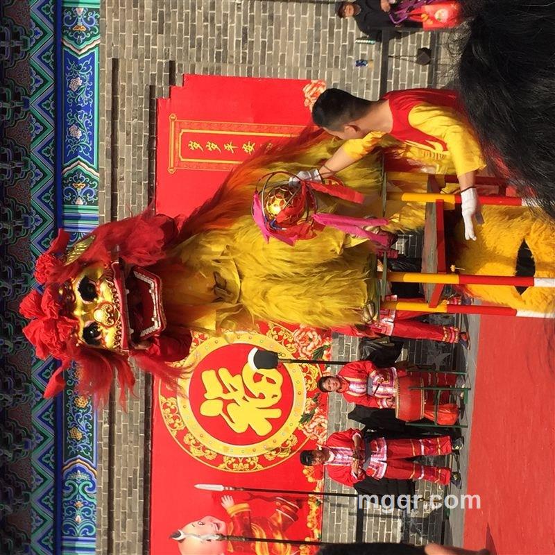 金戈铁马的头像