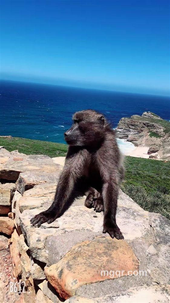 寂寞的男人的头像