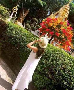 情人哥哥的人的头像