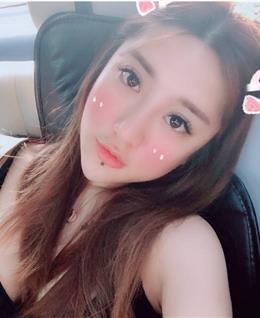 可惜我不能飞的头像