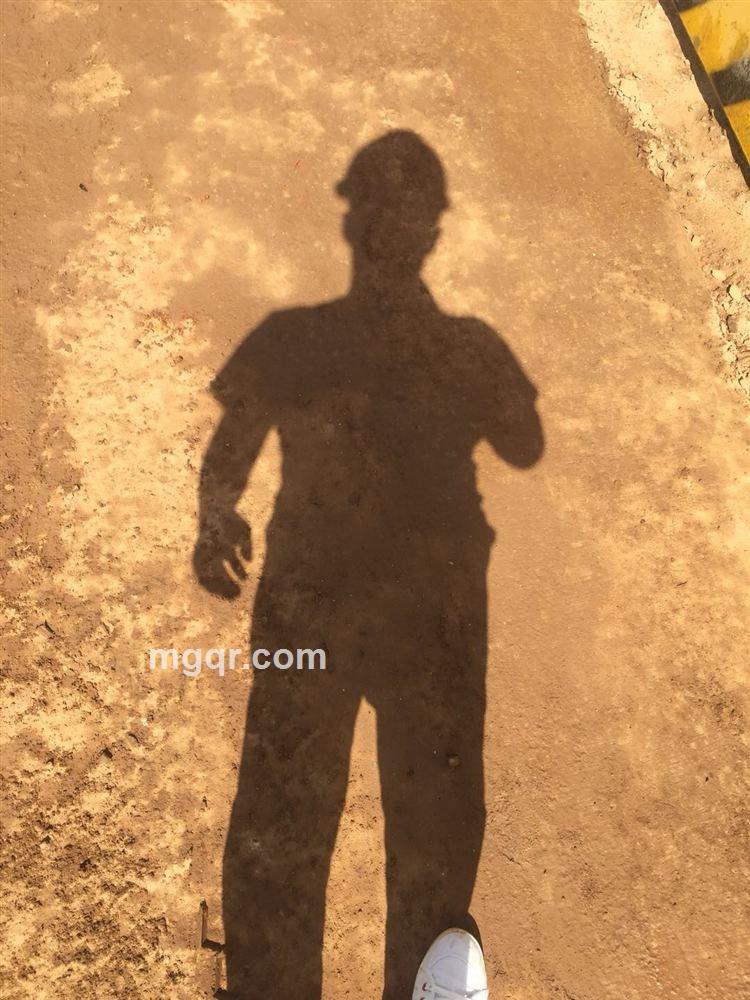 本人太懒的头像