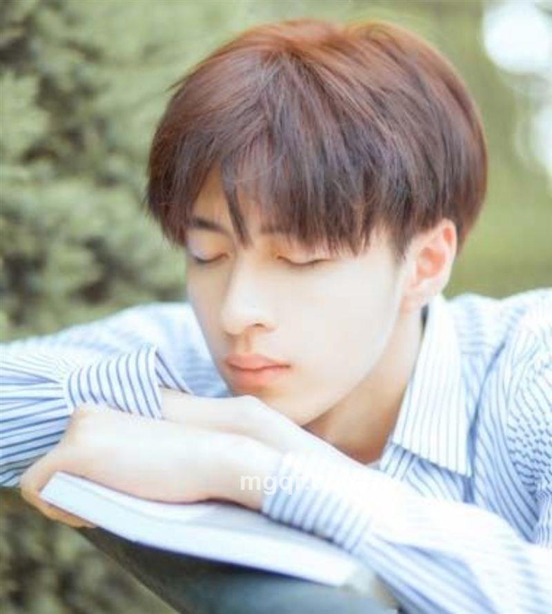 小可爱shy的头像