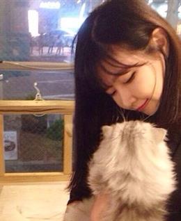 寂寞的夏天天的头像