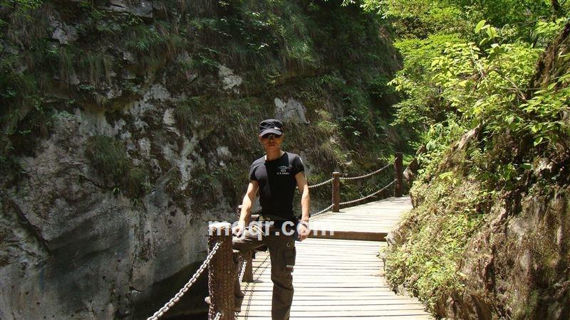 孤狼独舞的头像