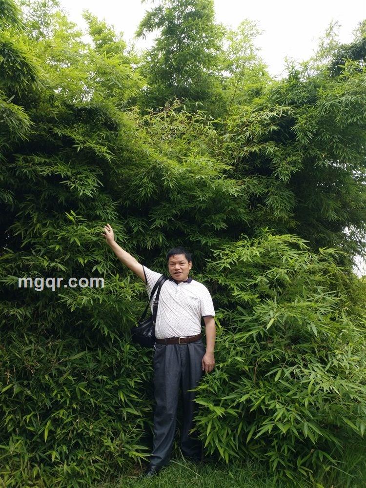 魅力四射的头像