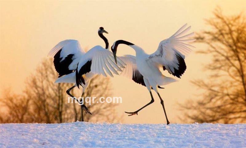 小雨尘埃。的头像