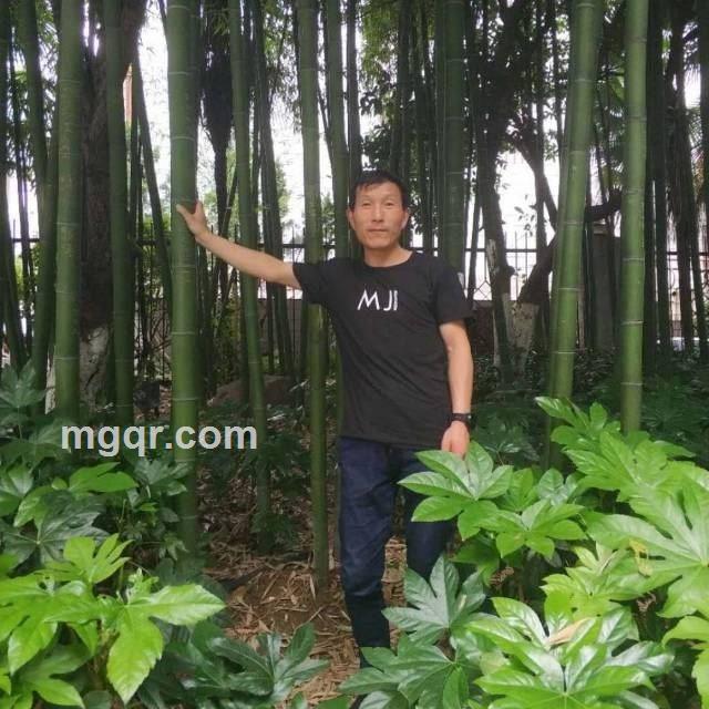 路一直都在的头像