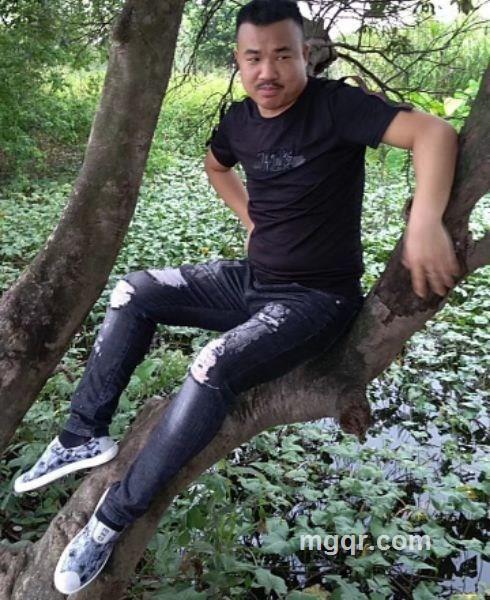 迷局如此美丽的头像