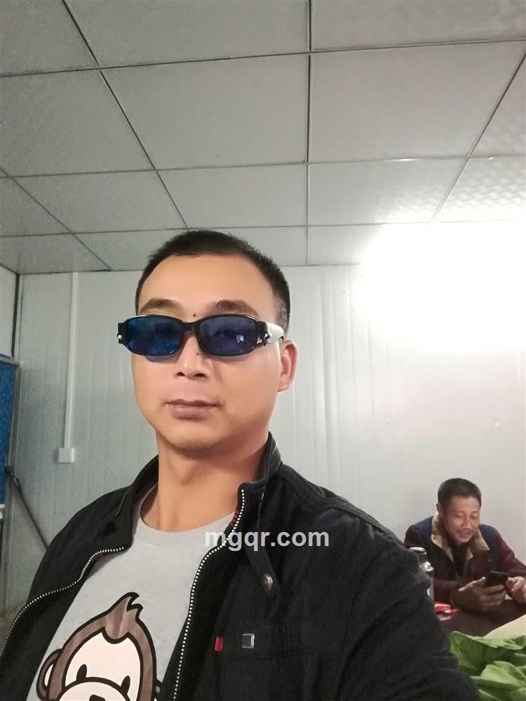 森林俊猴的头像