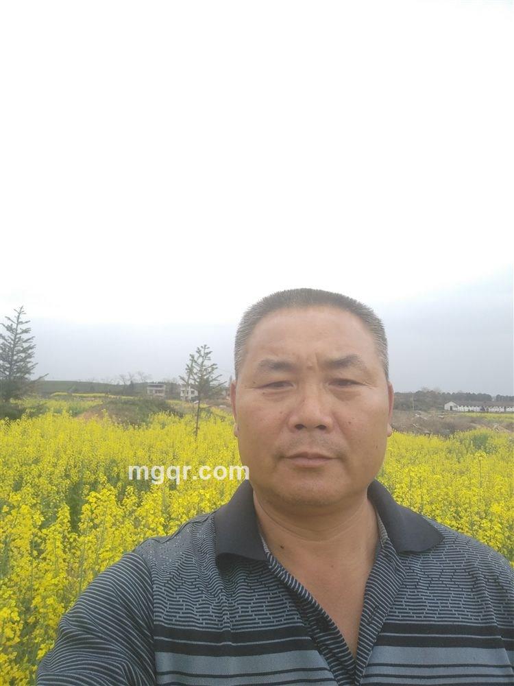 忘了过去的头像