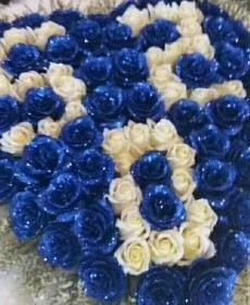 黑玫瑰??的头像