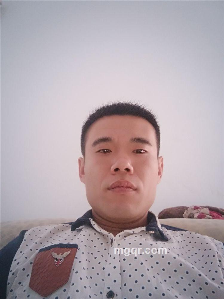 帅气的野狼的头像