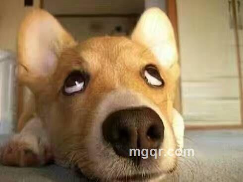 失落雨夜的头像