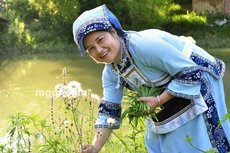 曼陀罗花的头像