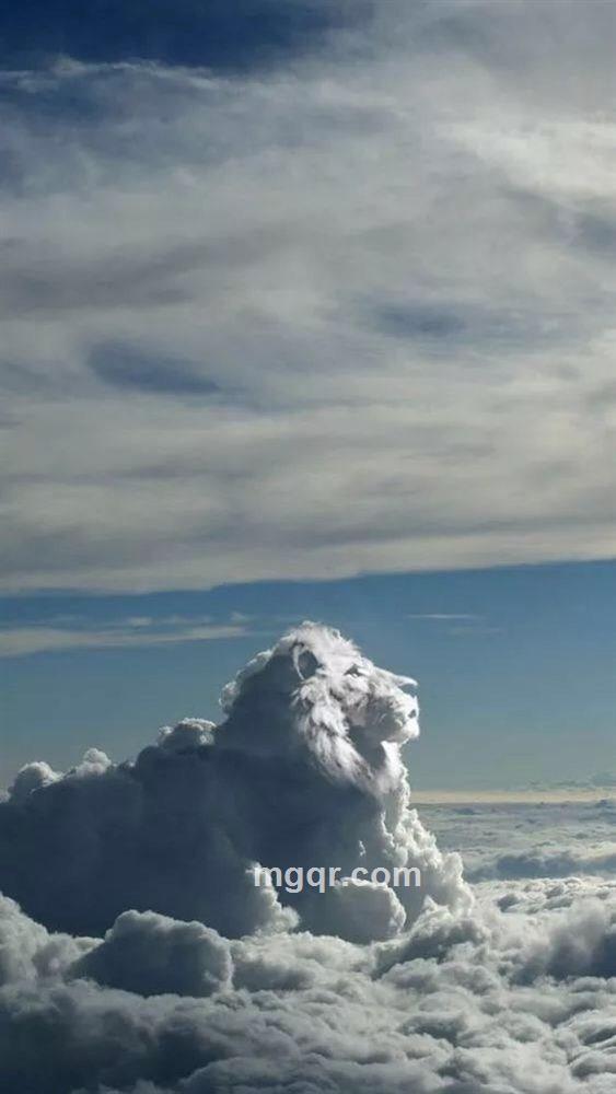 和谐使者的头像