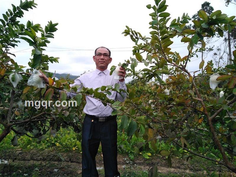 缘分的天空的头像