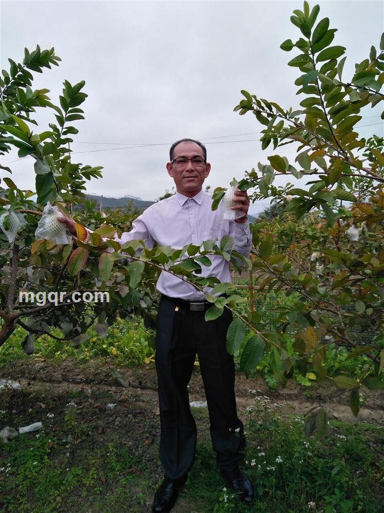 缘分的天空的头像