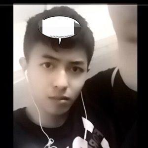 wins的头像