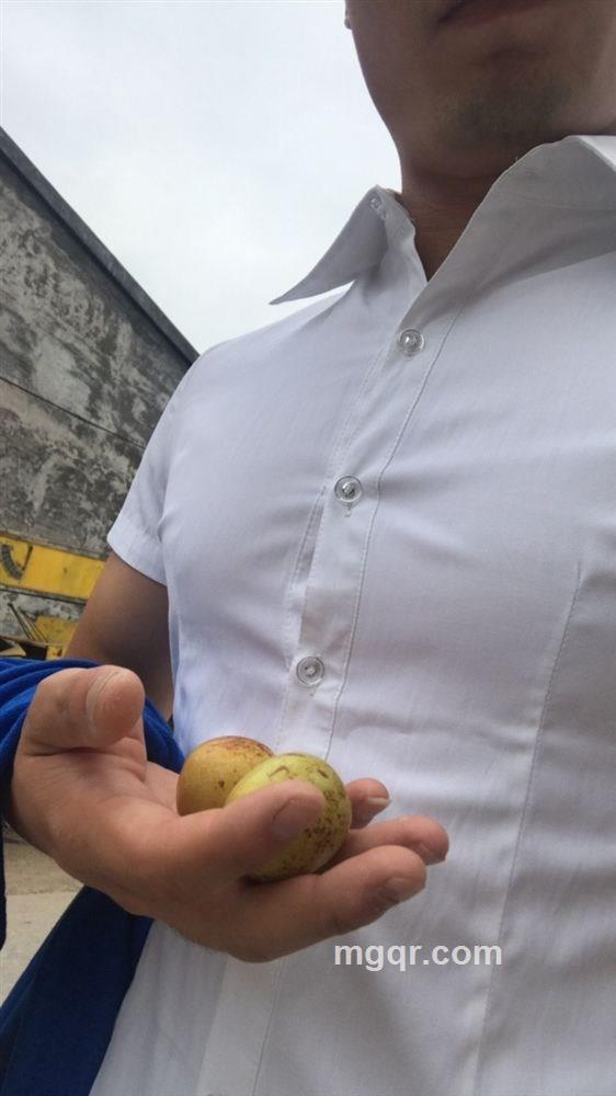 狼性的人类的头像