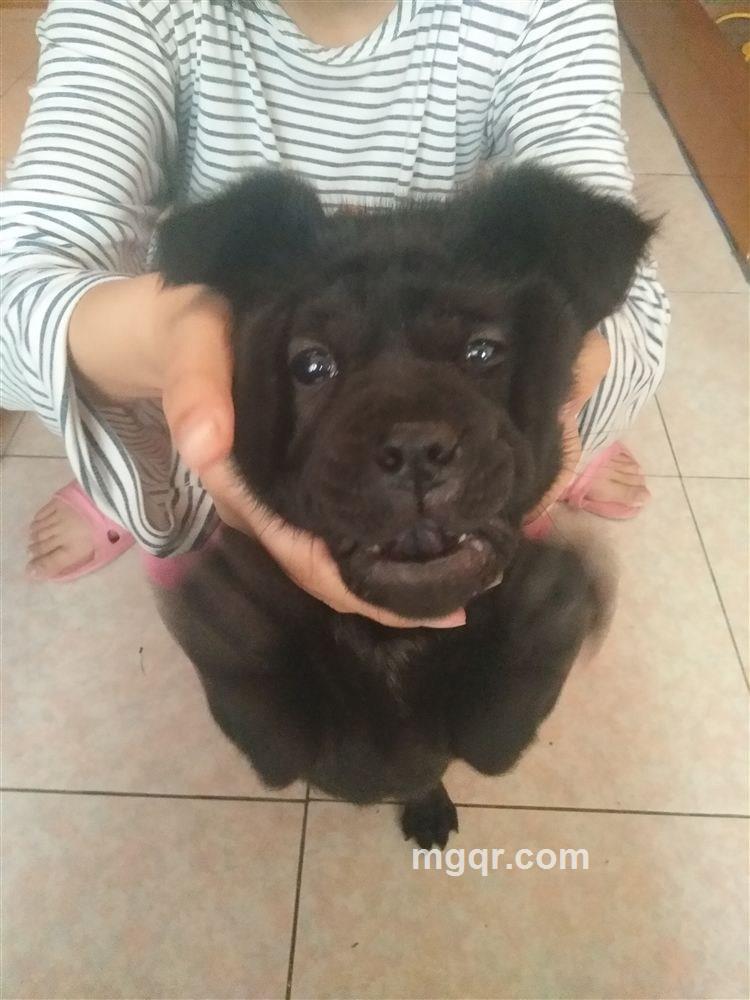 小伙起来了的头像