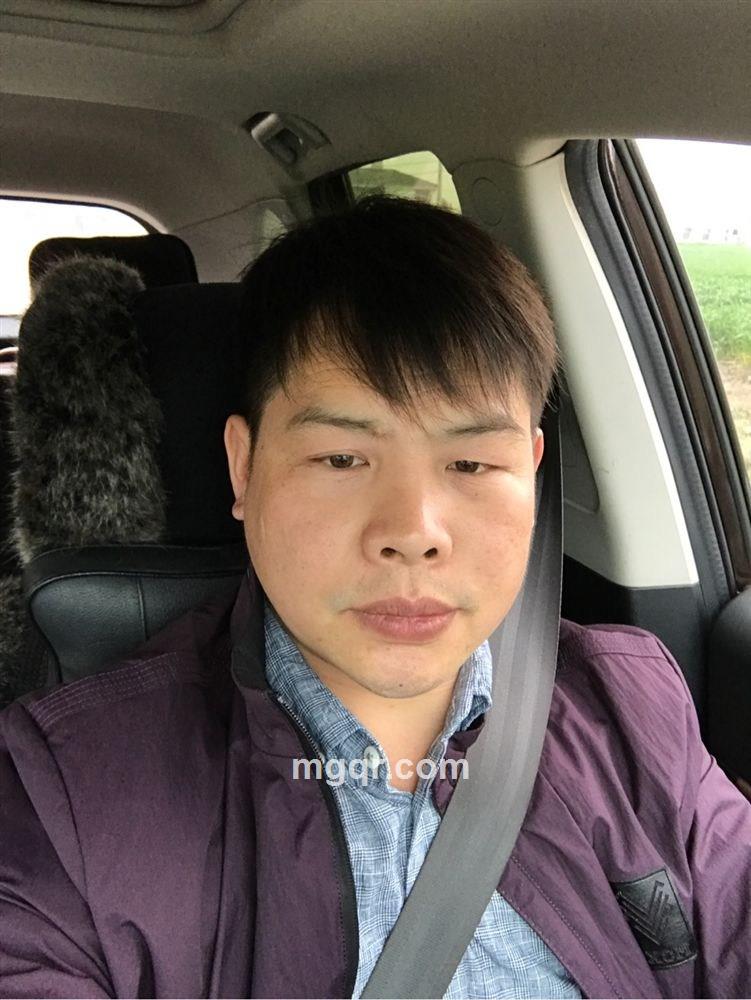 流金岁月的头像