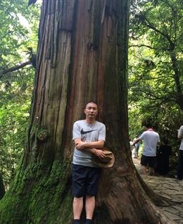 子柳的起的头像